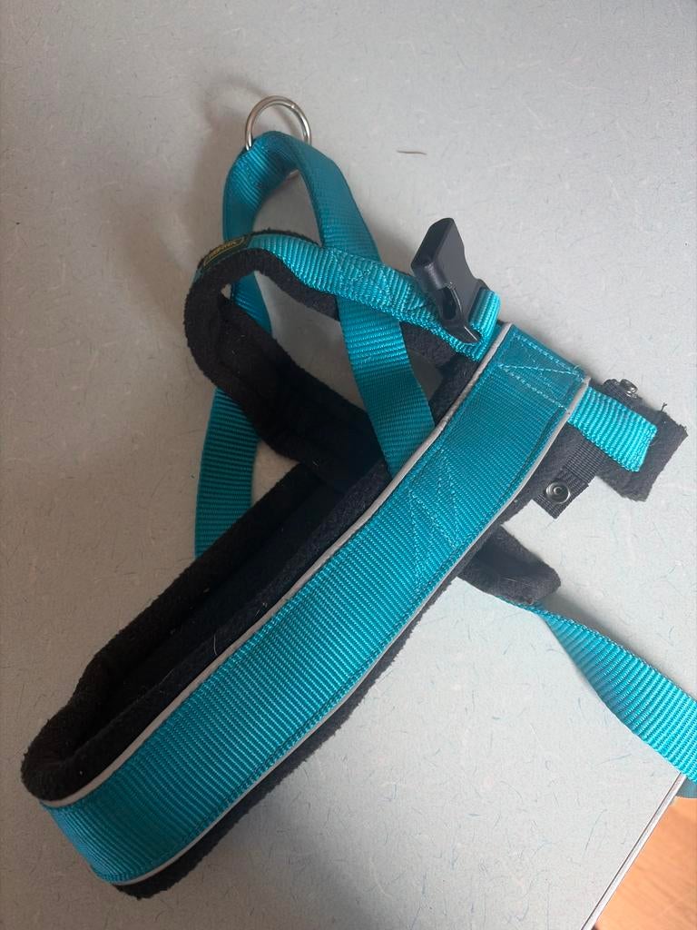 Honden tuig XL, Ophalen of Verzenden