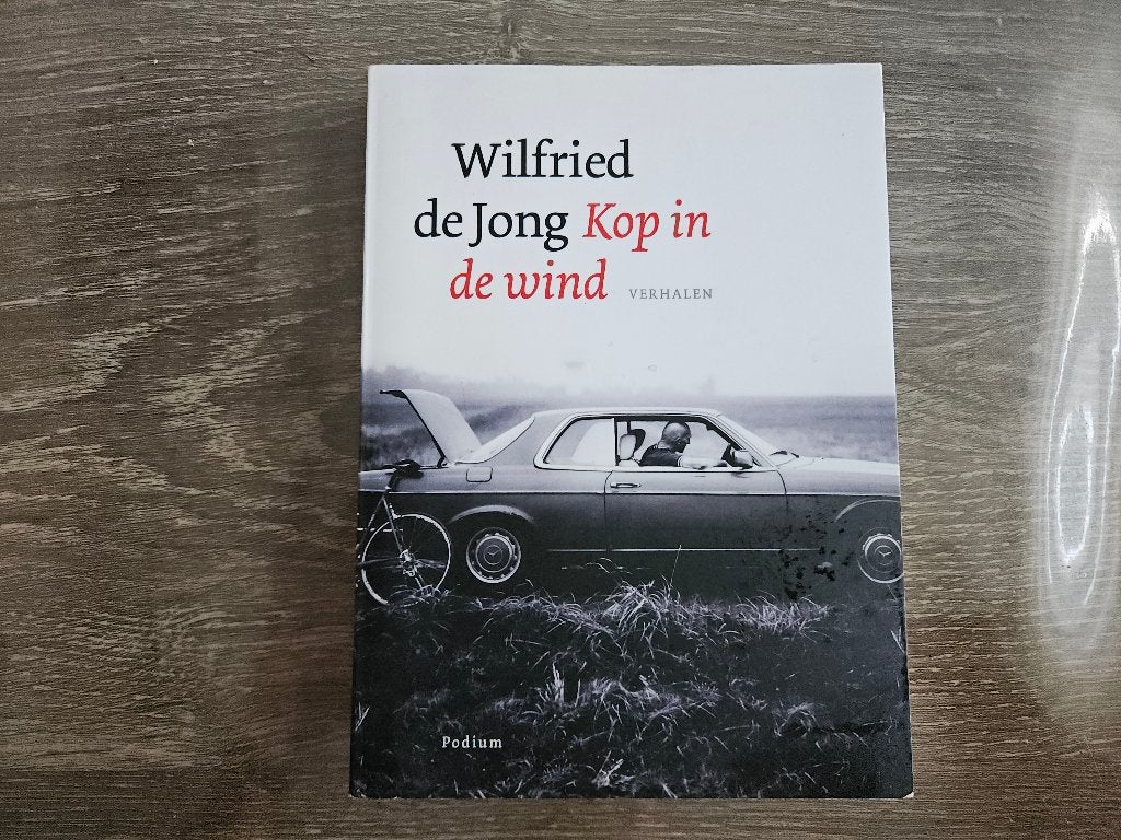 Kop in de wind (Wilfried de Jong), Ophalen of Verzenden, Gelezen