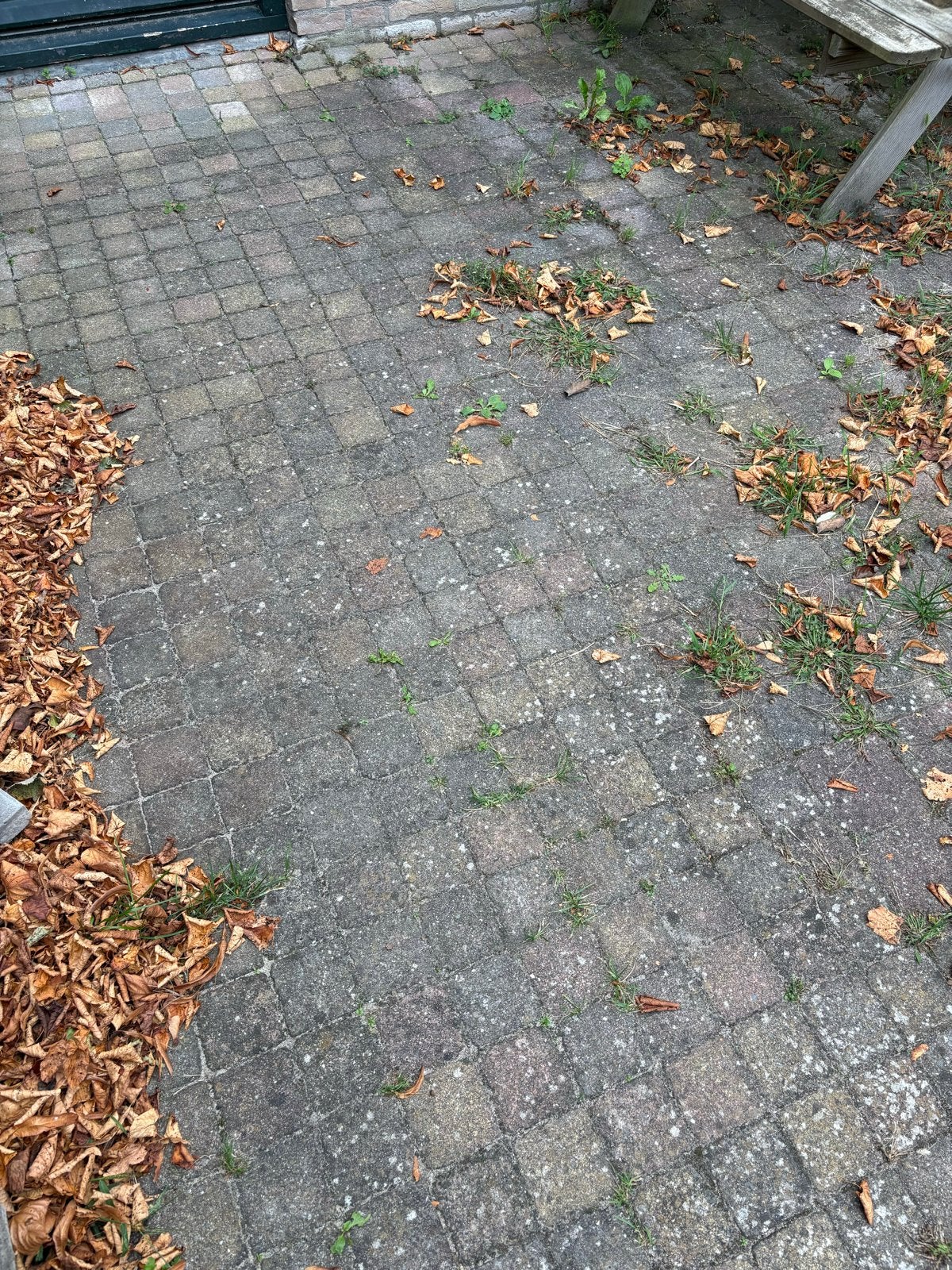 Gratis af te halen: Tuintegels 10x10 en 15x15 cm (ca. 20m²), Tuin en Terras, Ophalen, Gebruikt, 10 m² of meer, Beton