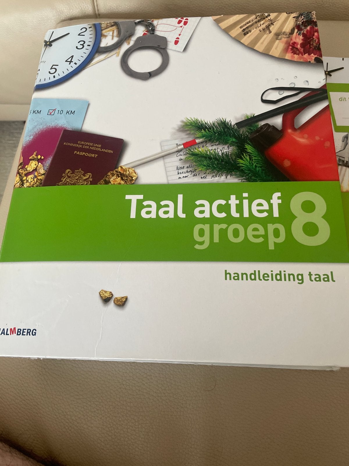 Taal actief groep 8 handleiding taal Malmberg, Ophalen of Verzenden, Alpha, Zo goed als nieuw, Overige niveaus