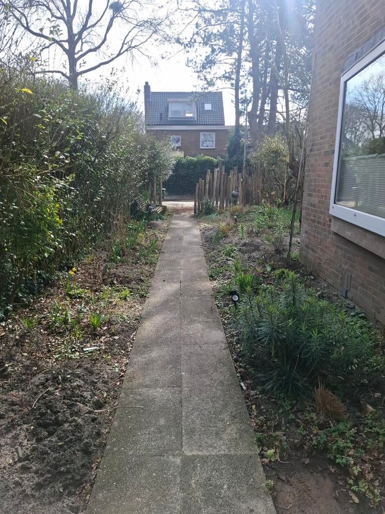 Gratis grindtegels, Tuin en Terras, Tegels en Klinkers, Ophalen, Gebruikt, Minder dan 5 m², Beton