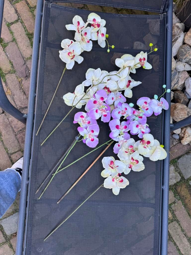 Orchidee takken, Ophalen of Verzenden, Zo goed als nieuw