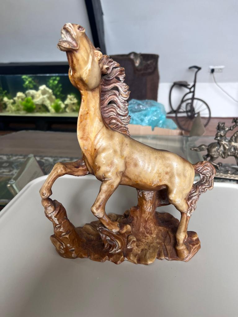 Vintage beeld wild paard, Ophalen