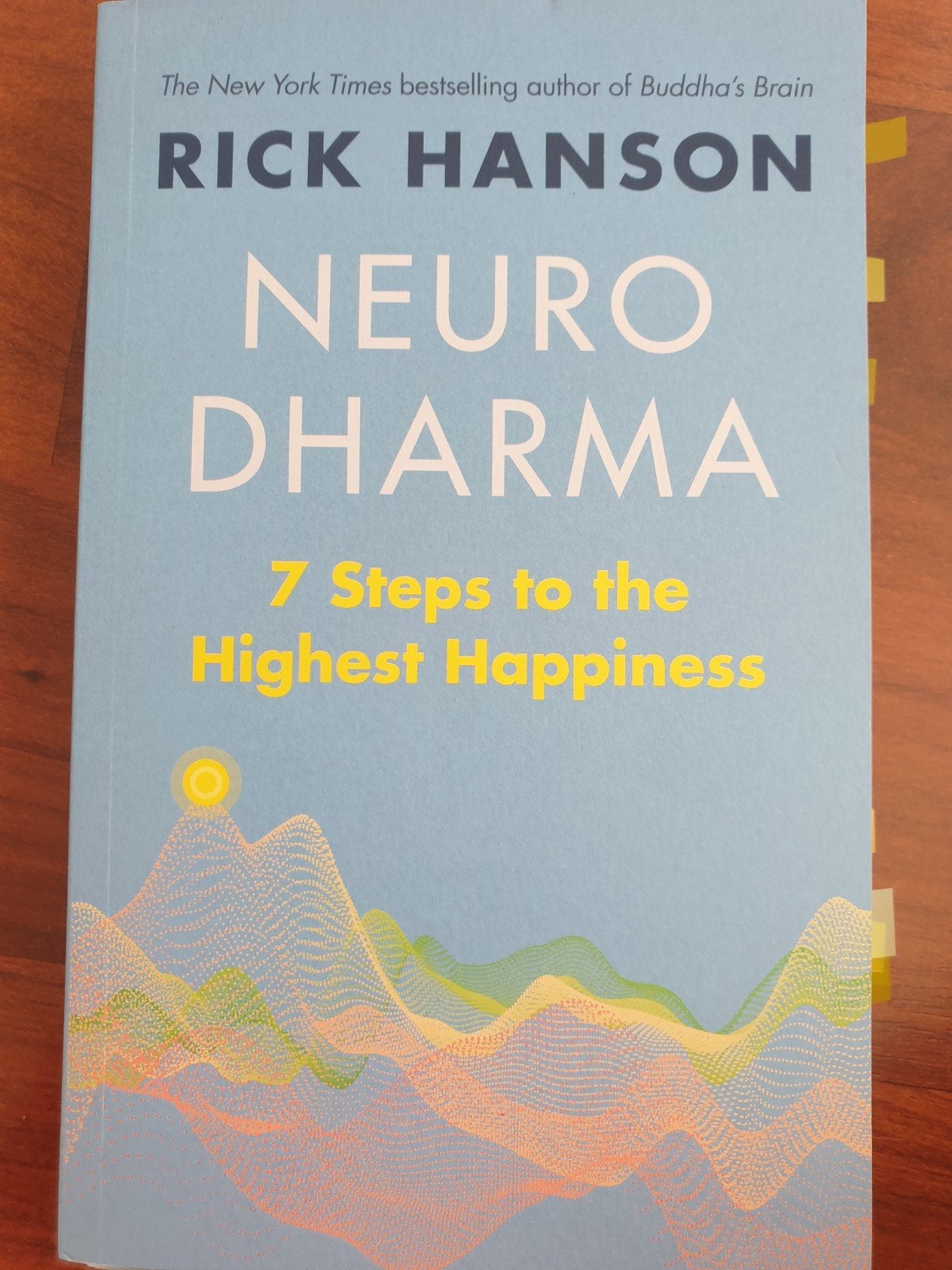 Neurodharma: 7 Stappen naar het Hoogste Geluk, Boeken, Esoterie en Spiritualiteit, Meditatie of Yoga, Ophalen of Verzenden, Zo goed als nieuw