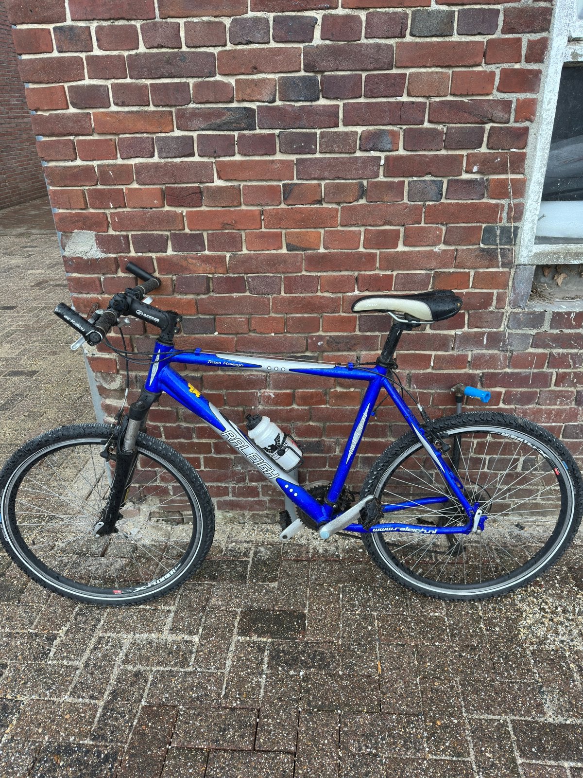 Raleigh Team mountainbike, Gebruikt, Hardtail, 45 tot 49 cm, Ophalen