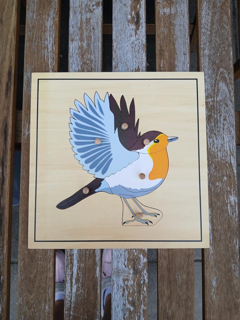 Montessori Dieren Puzzels met Kast - 5 Stuks, 2 tot 4 jaar, Ophalen of Verzenden, Zo goed als nieuw, Van hout