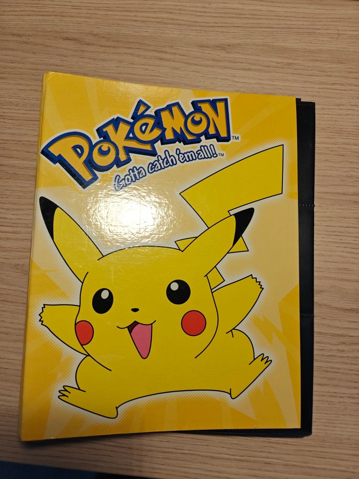 Pokémon Kaarten Verzamelmap (jaren '90), Ophalen of Verzenden, Zo goed als nieuw, Boek of Catalogus