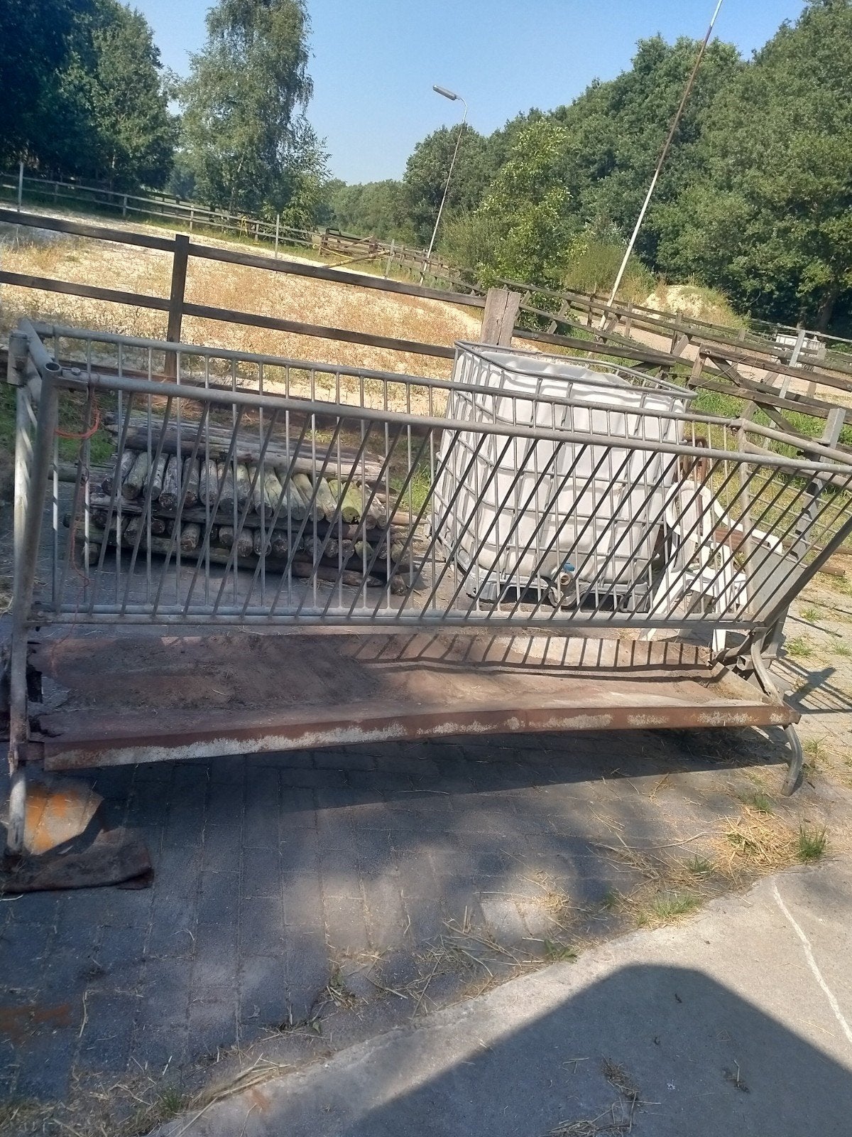Hooiruif, Dieren en Toebehoren, Meerdere dieren, Varken