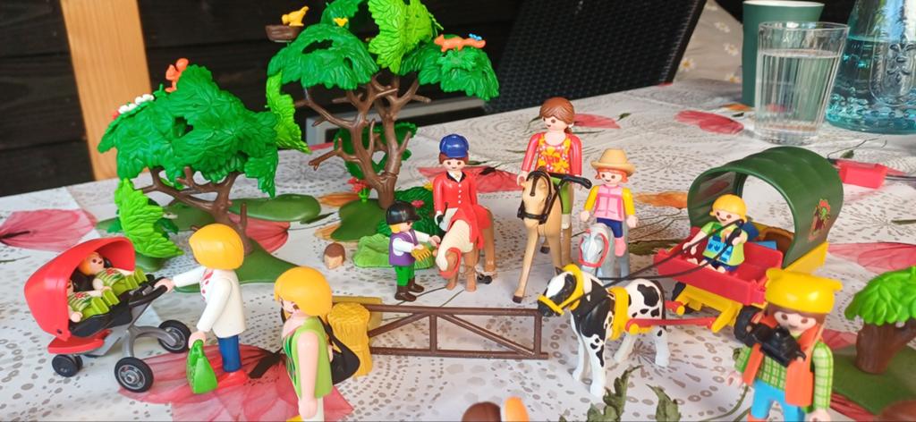 Playmobil dierenverblijf, bbq, huifkar, zwembadje, Ophalen, Gebruikt, Complete set