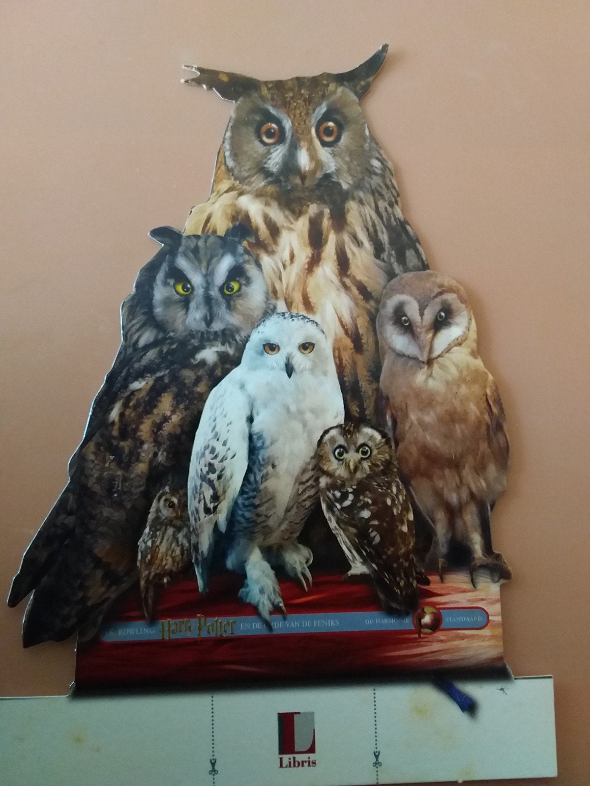Harrt Potter kaart en de orde van de Feniks, Verzamelen, Ophalen of Verzenden, Boek of Poster