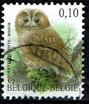 Bosuil Buzin 2009 (OBP 3956 ), Ophalen of Verzenden, Gestempeld