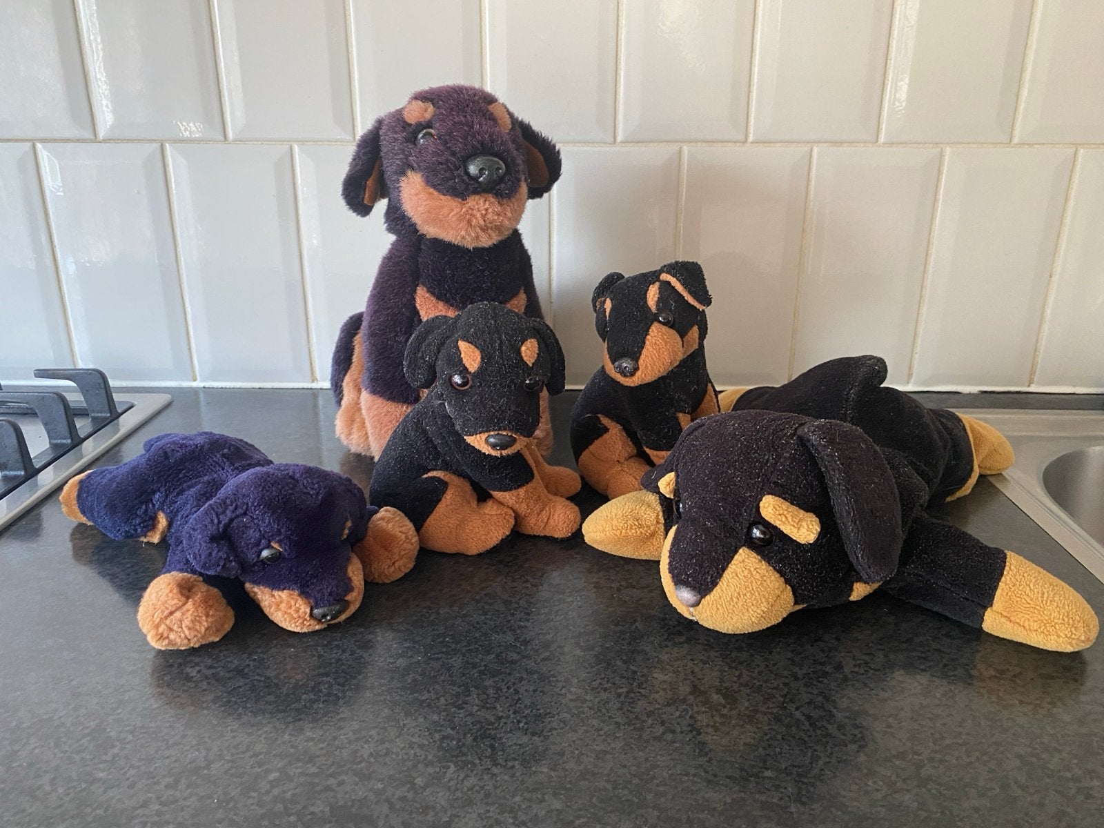 Leuke Rottweiler knuffels - set van 5, Zwart, Zo goed als nieuw, Middelgroot (20 tot 80 cm), Hond