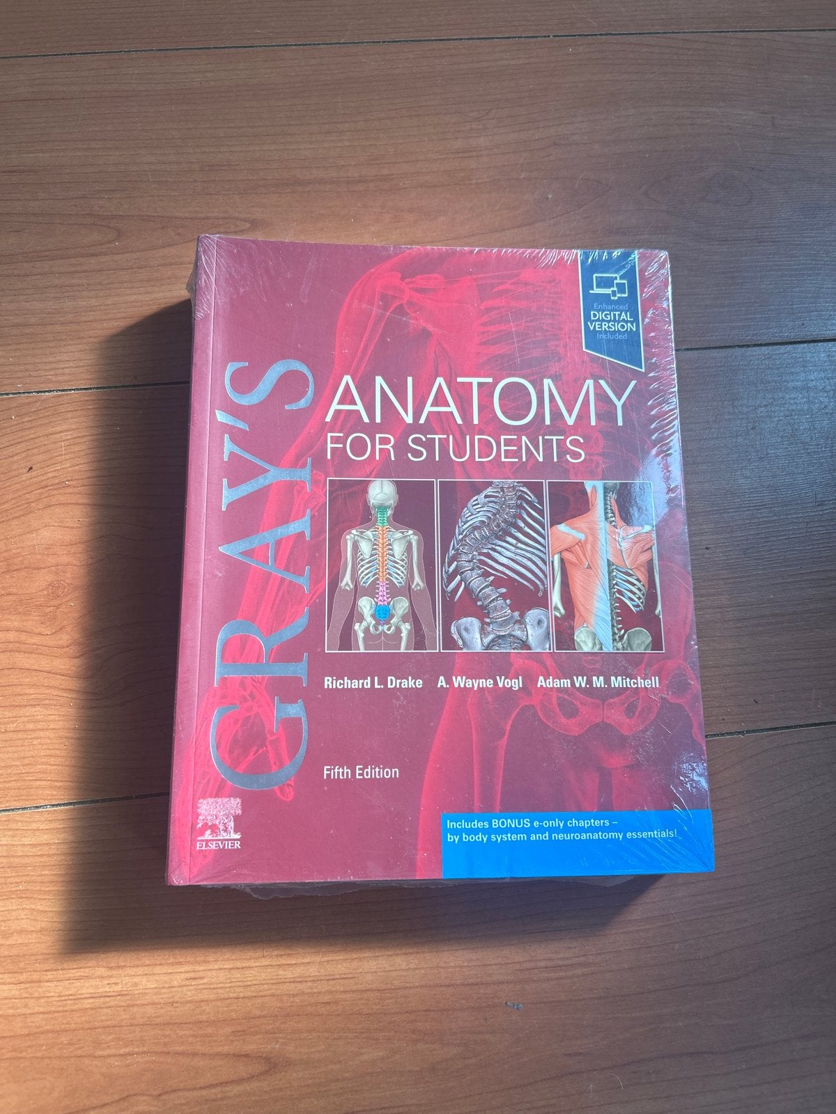 Gray's Anatomy for Students - Vijfde Editie, Boeken, Ophalen of Verzenden, Beta, Nieuw, WO