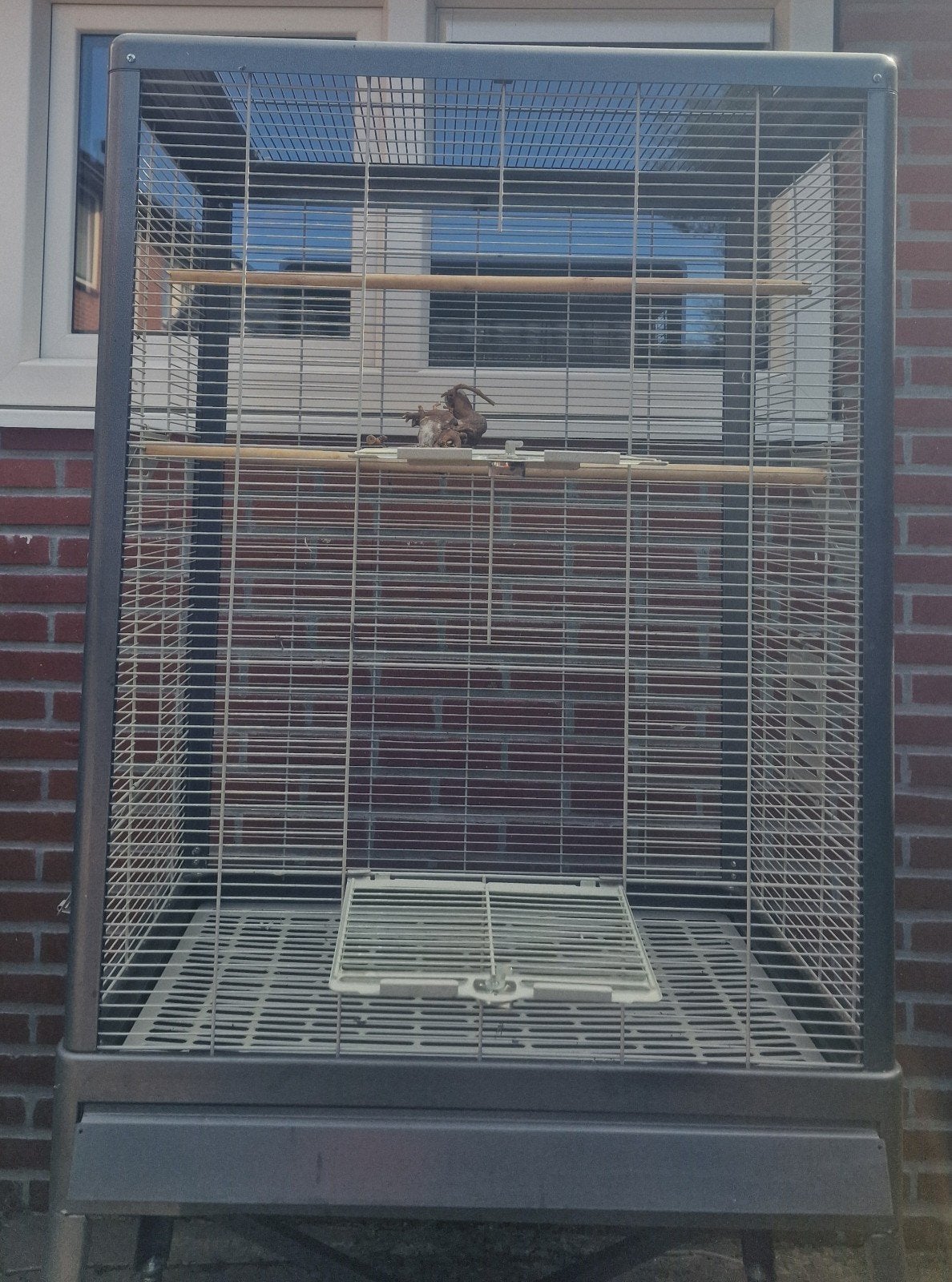 vogel kooi Montana Groot, Ophalen of Verzenden, Zo goed als nieuw, Metaal, Vogelkooi