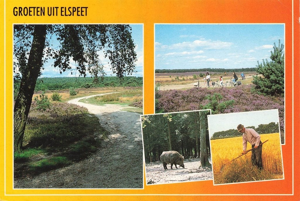 Groeten uit Elspeet, Ophalen of Verzenden, 1980 tot heden, Gelopen, Gelderland