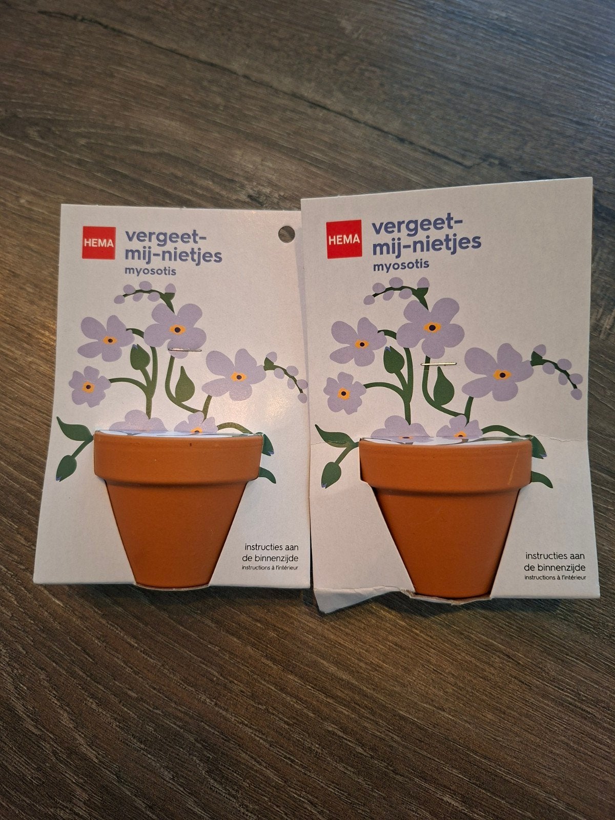 2 potjes vergeetmijnietjes, nieuw!, Ophalen of Verzenden, Volle zon