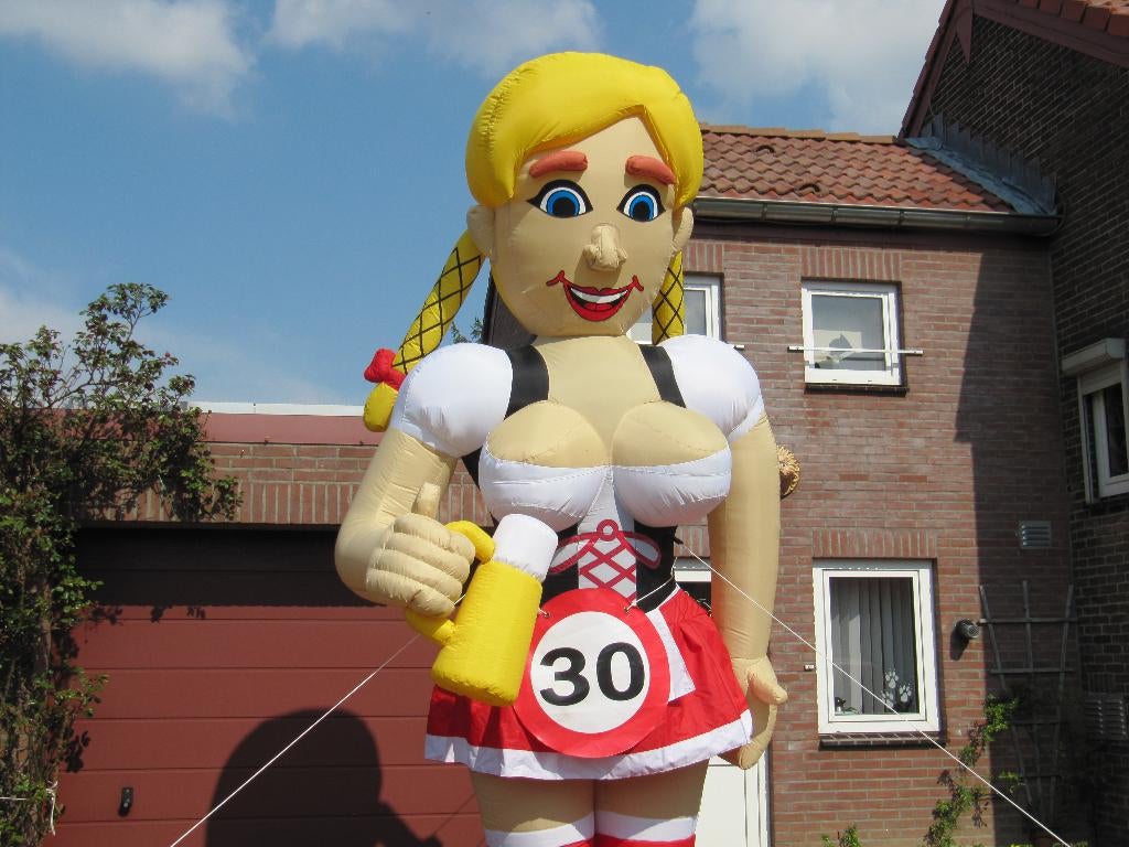 sarah heidi pop tiroler sara  te huur verhuur, Ophalen, Nieuw, Abraham of Sarah