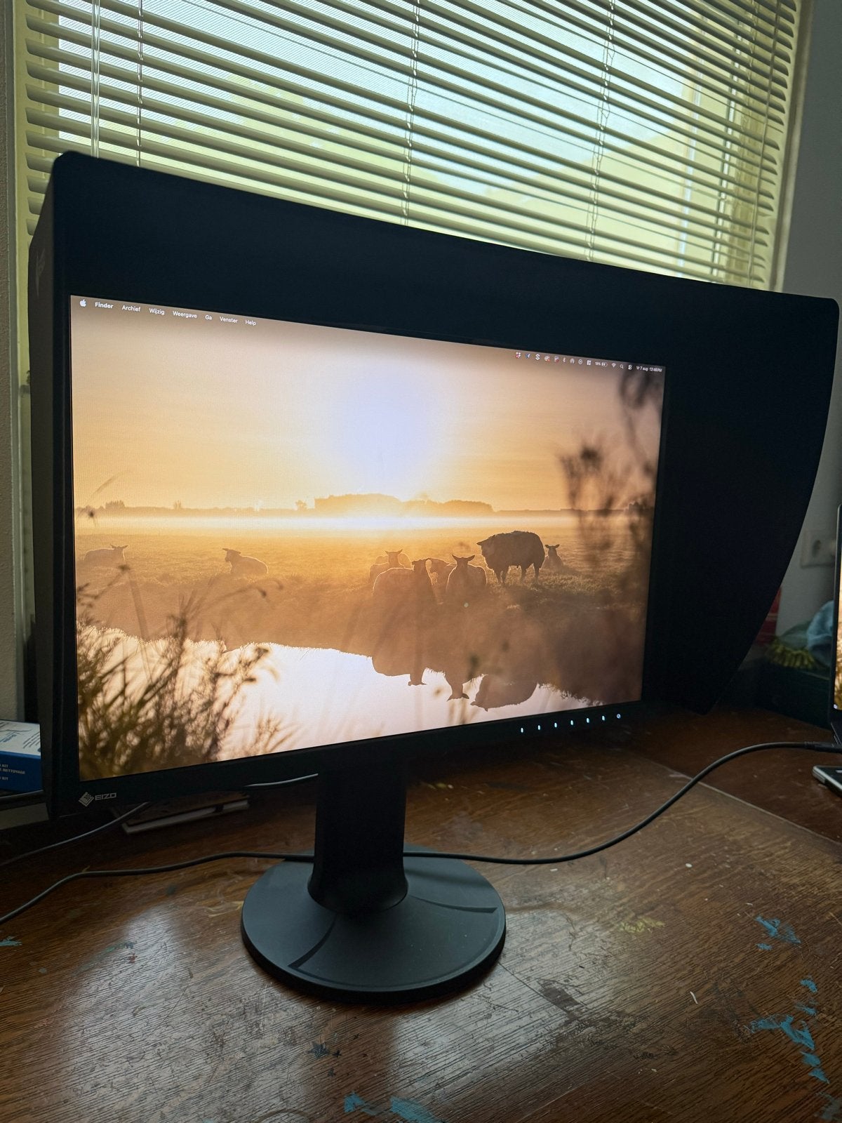 EIZO ColorEdge CG2400S Monitor - Perfect voor grafisch werk, Ophalen, IPS, In hoogte verstelbaar, Zo goed als nieuw