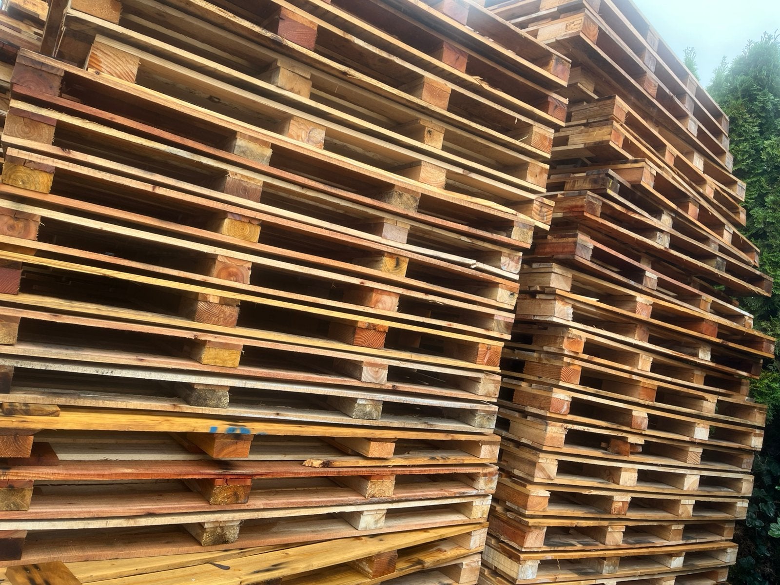 Te koop stevige houten voortent vlonder vloerdelen planken, Ophalen, Eiken, Zo goed als nieuw, 50 mm of meer