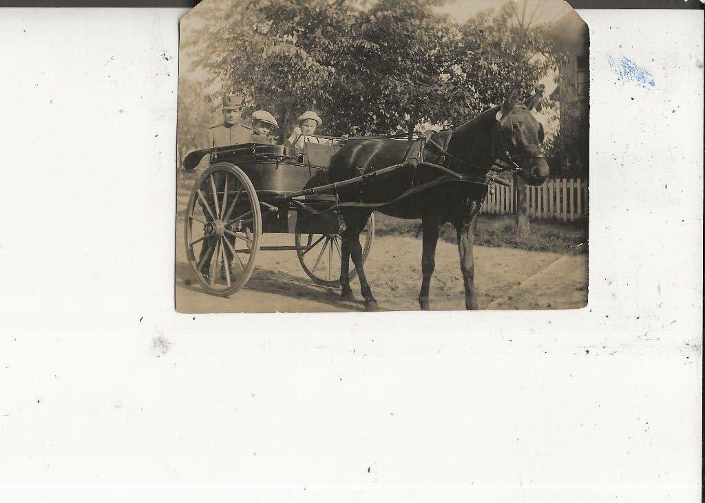 Westland Militair met sjees en 2 ventjes Foto 10-8 cm, Ophalen of Verzenden, Voor 1920, Ongelopen, Zuid-Holland