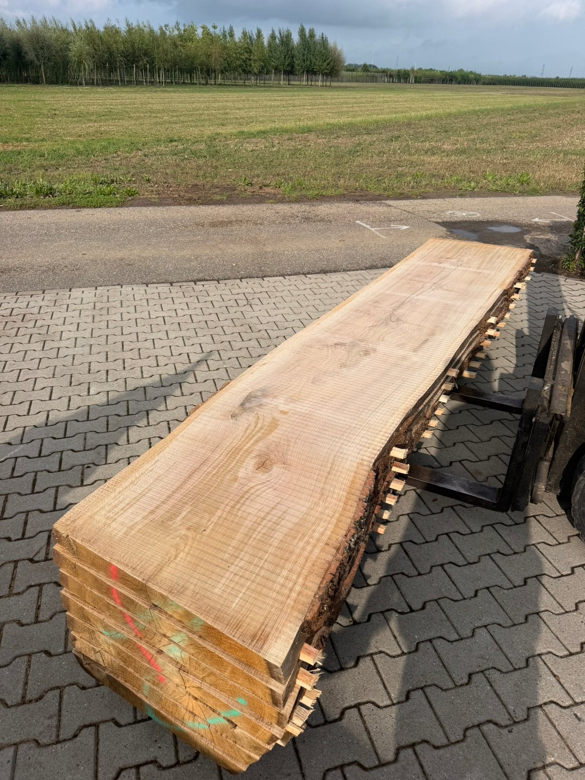 Zeer mooie eiken boomstambladen 365x65-70x4 cm, Ophalen of Verzenden, 250 cm of meer, Planken