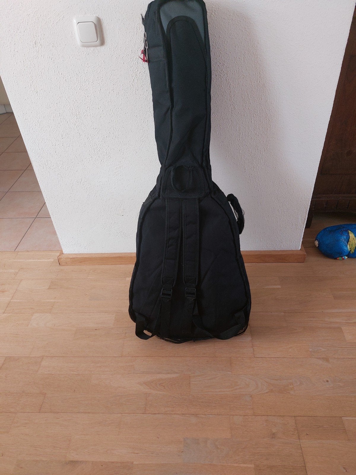 te koop gitaar met draagtas, Ophalen, Overige instrumenten