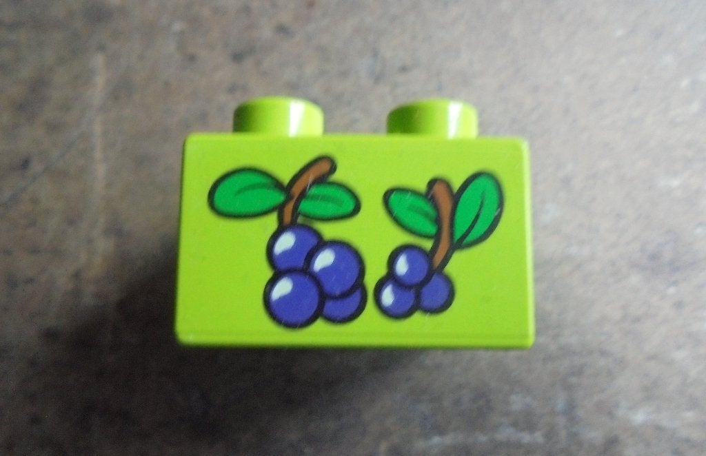 Lego Duplo Brick 2x2 (zie foto's), Ophalen of Verzenden, Gebruikt, Losse stenen, Duplo