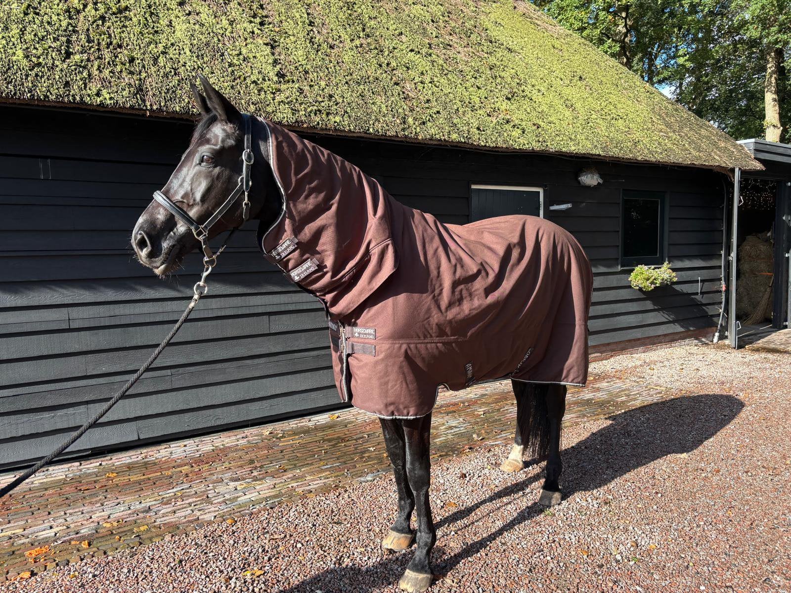 Bucas 400 gram bruine deken+hals, 165 cm, Ophalen of Verzenden, Zo goed als nieuw, Full (L), Bucas