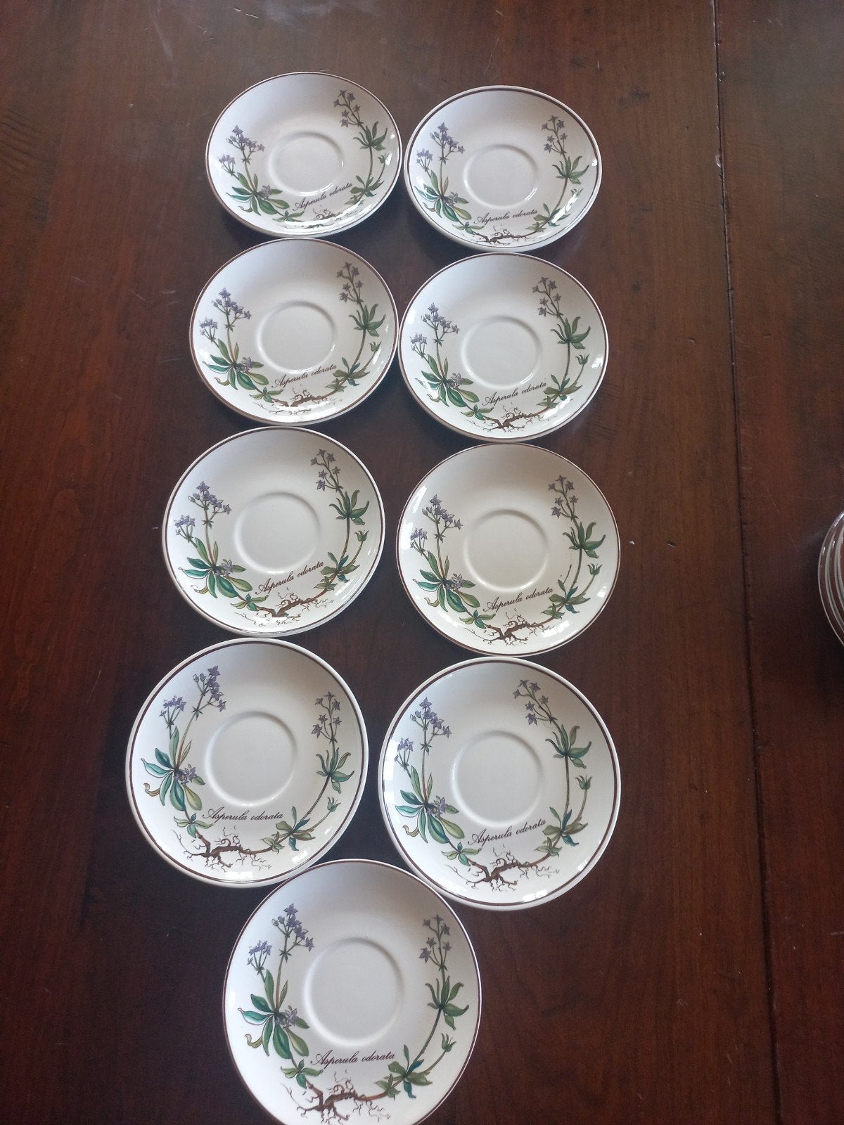 Villeroy & Boch schotels 9 stuks Botanica, Ophalen of Verzenden, Zo goed als nieuw, Porselein, Kop en/of schotel