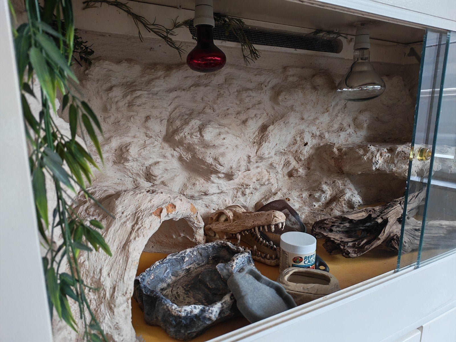 Terrariums, Dieren en Toebehoren, Reptielen en Amfibieën | Toebehoren, Ophalen of Verzenden