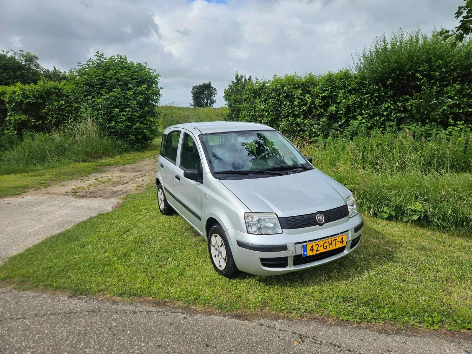 Fiat panda, Ophalen, Nieuw, Fiat