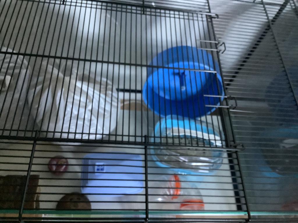 Hamster bak. 80x40x44cm., Kooi, Minder dan 75 cm, Zo goed als nieuw, Hamster