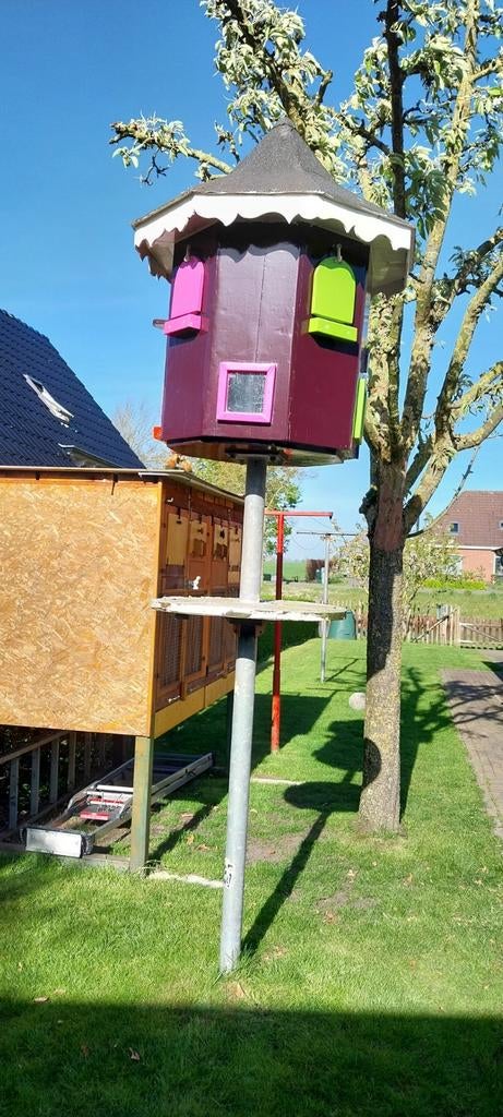 Achthoekige duiventil met twee verdiepingen, Dieren en Toebehoren, Vogels | Duiven, Meerdere dieren, Postduif