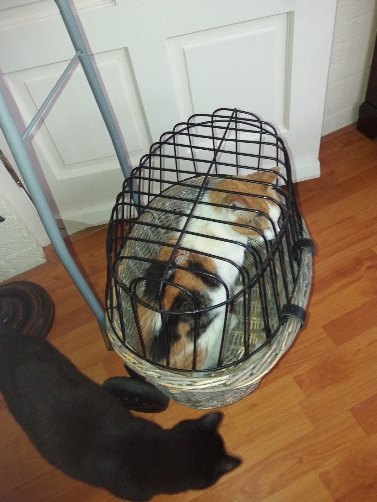 Poezen of honden wagentje, Dieren en Toebehoren, Ophalen, Minder dan 65 cm