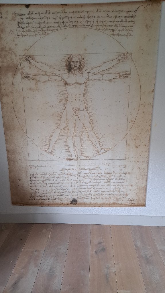Wandkleed Leonardo da Vinci, Ophalen, Zo goed als nieuw