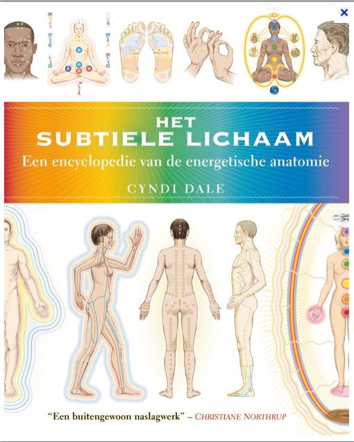 het subtiele lichaam, Meditatie of Yoga, CYNDI DALE, Ophalen of Verzenden, Zo goed als nieuw