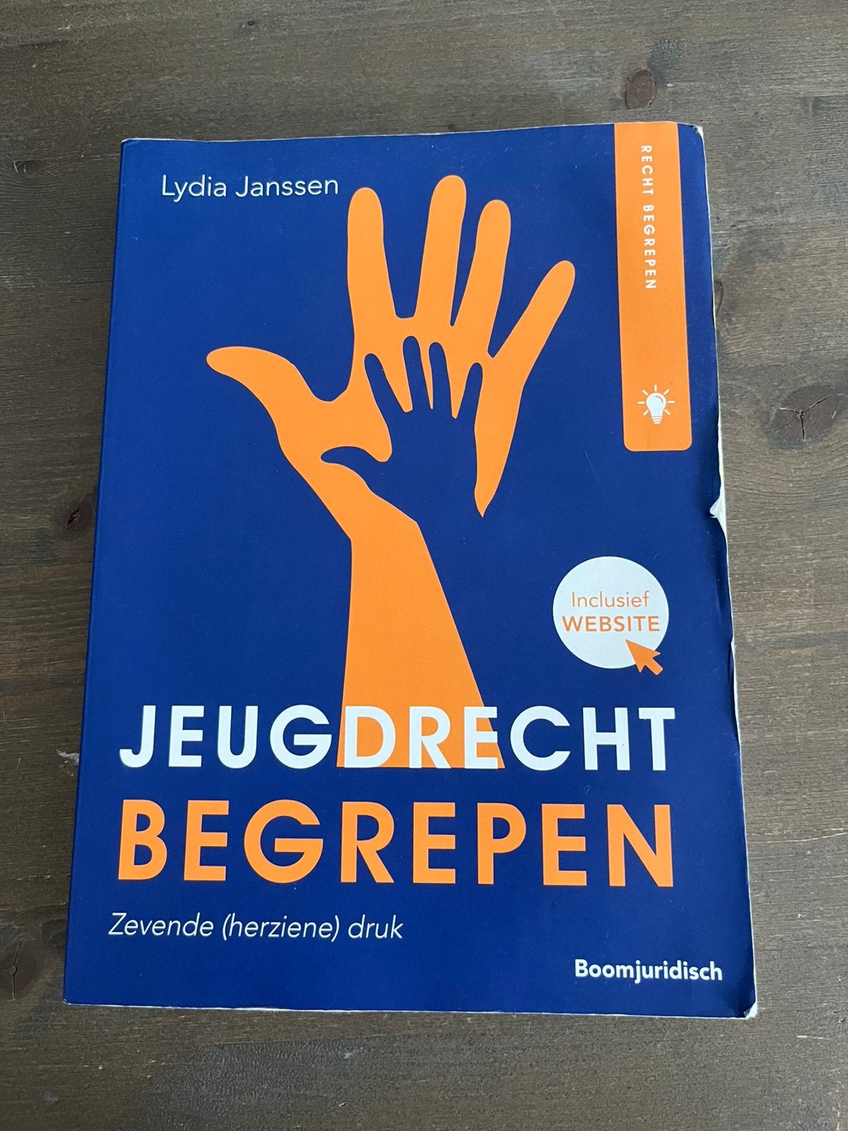 Jeugdrecht begrepen, Ophalen of Verzenden, Zo goed als nieuw