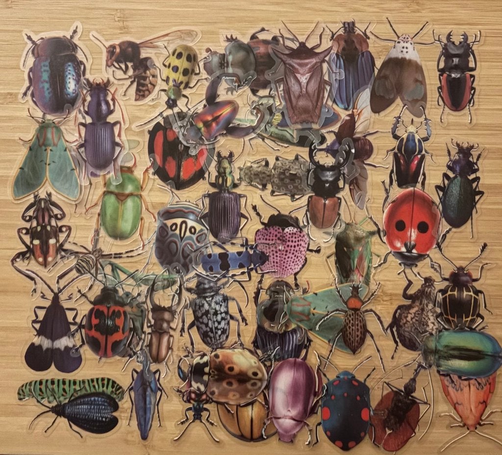 Insecten, zomer stickers, Verzenden, Nieuw, Meerdere stickers