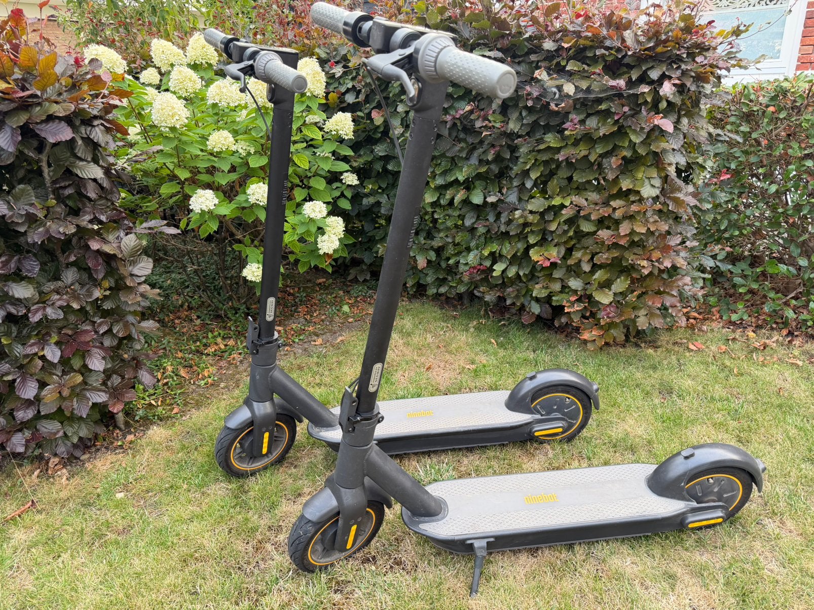ZGAN: 2 originele Segway Ninebot Kickscooter Max G30, Fietsen en Brommers, Steps, Ophalen of Verzenden, Zo goed als nieuw, Elektrische step (E-scooter)