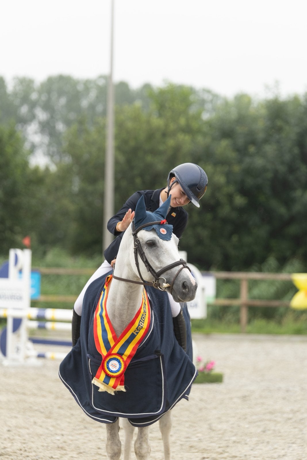 Gezocht brave allround B, C of D pony’s