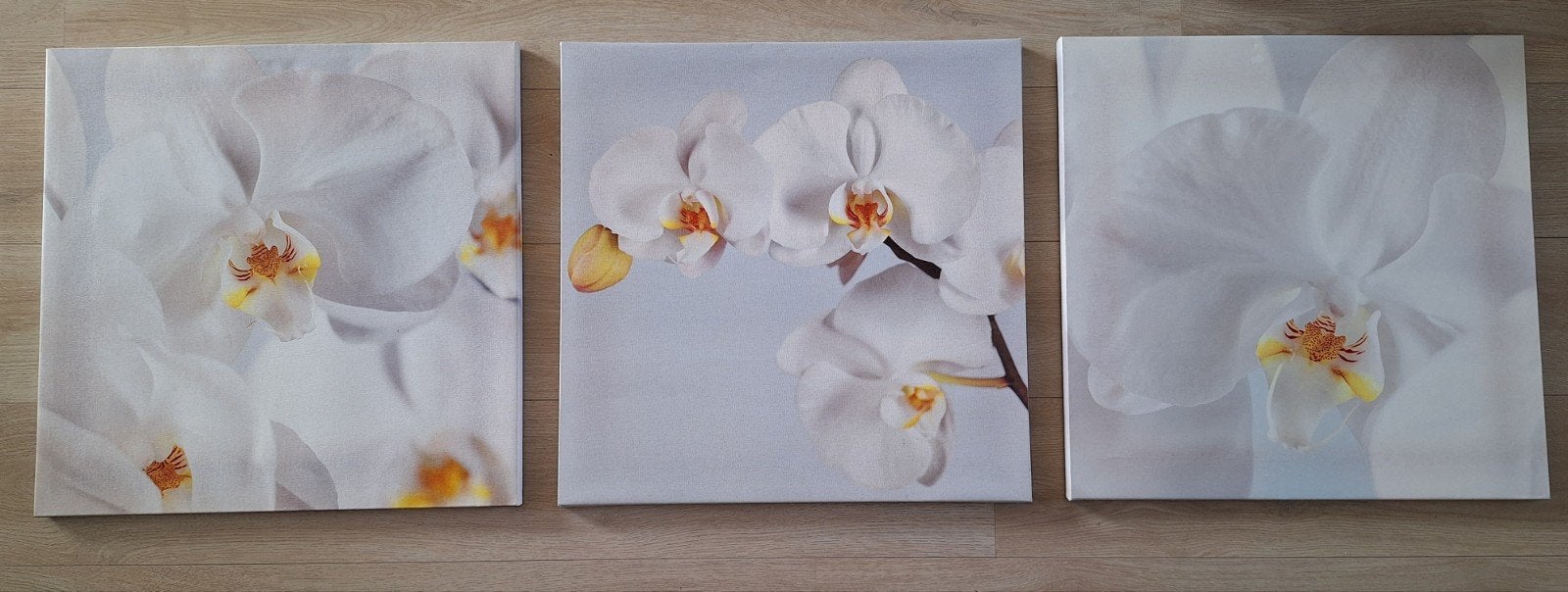 Ikea Orchidee Canvas Schilderijen - Set van 3 (56x56 cm), Huis en Inrichting, Ophalen, 50 – 75, Zo goed als nieuw, Schilderij
