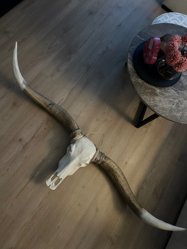 Wanddecoratie longhorn, Huis en Inrichting, Woonaccessoires | Overige, Ophalen, Overige stijlen, Zo goed als nieuw, Beige
