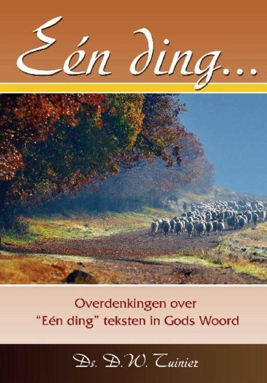 Een ding Ds D.W.Tuinier 9789074787901, Ophalen of Verzenden, Zo goed als nieuw, Ds D.W.Tuinier, Christendom | Protestants