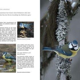 Vogels als gast in de tuin - observeren, bepalen, beschermen, Verzenden, Nieuw