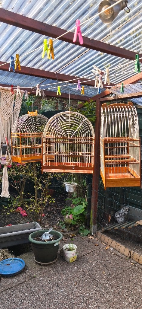 Vogel Kooi, Ophalen, Gebruikt, Overige materialen, Vogelkooi