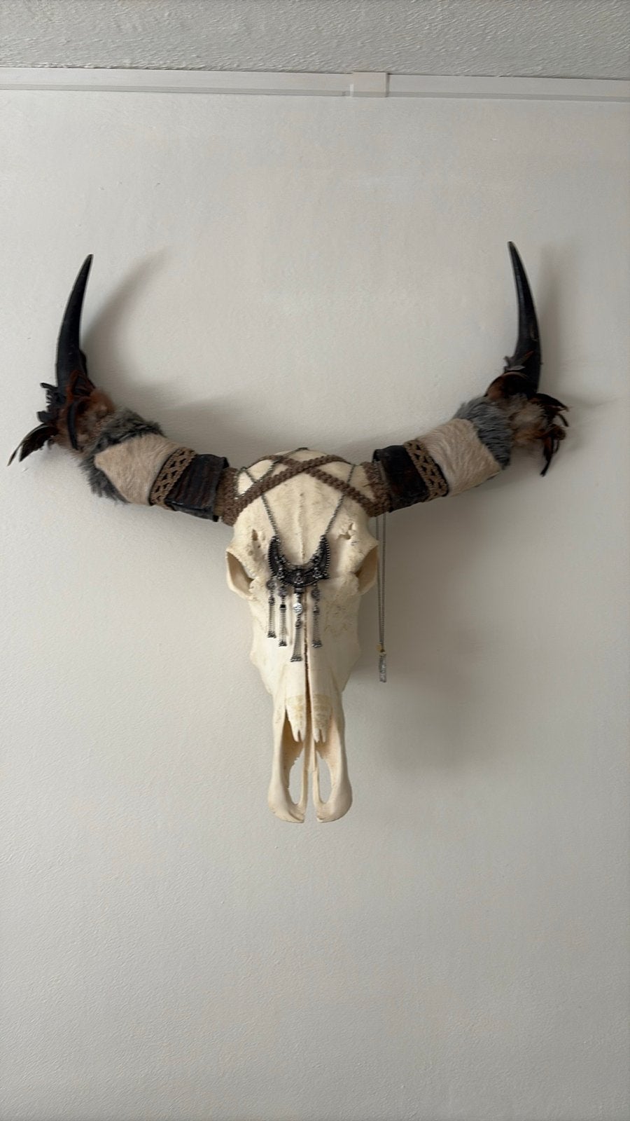 Decoratieve schedel met hoorns en sieraden, Ophalen