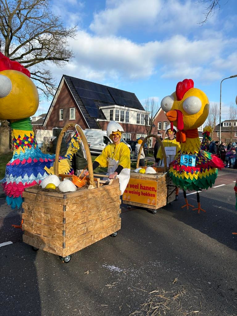 Compleet Carnavalspakket: Kippenthema met Wagens en Pakken, Ophalen of Verzenden, Gebruikt, 170 of groter, Jongen of Meisje