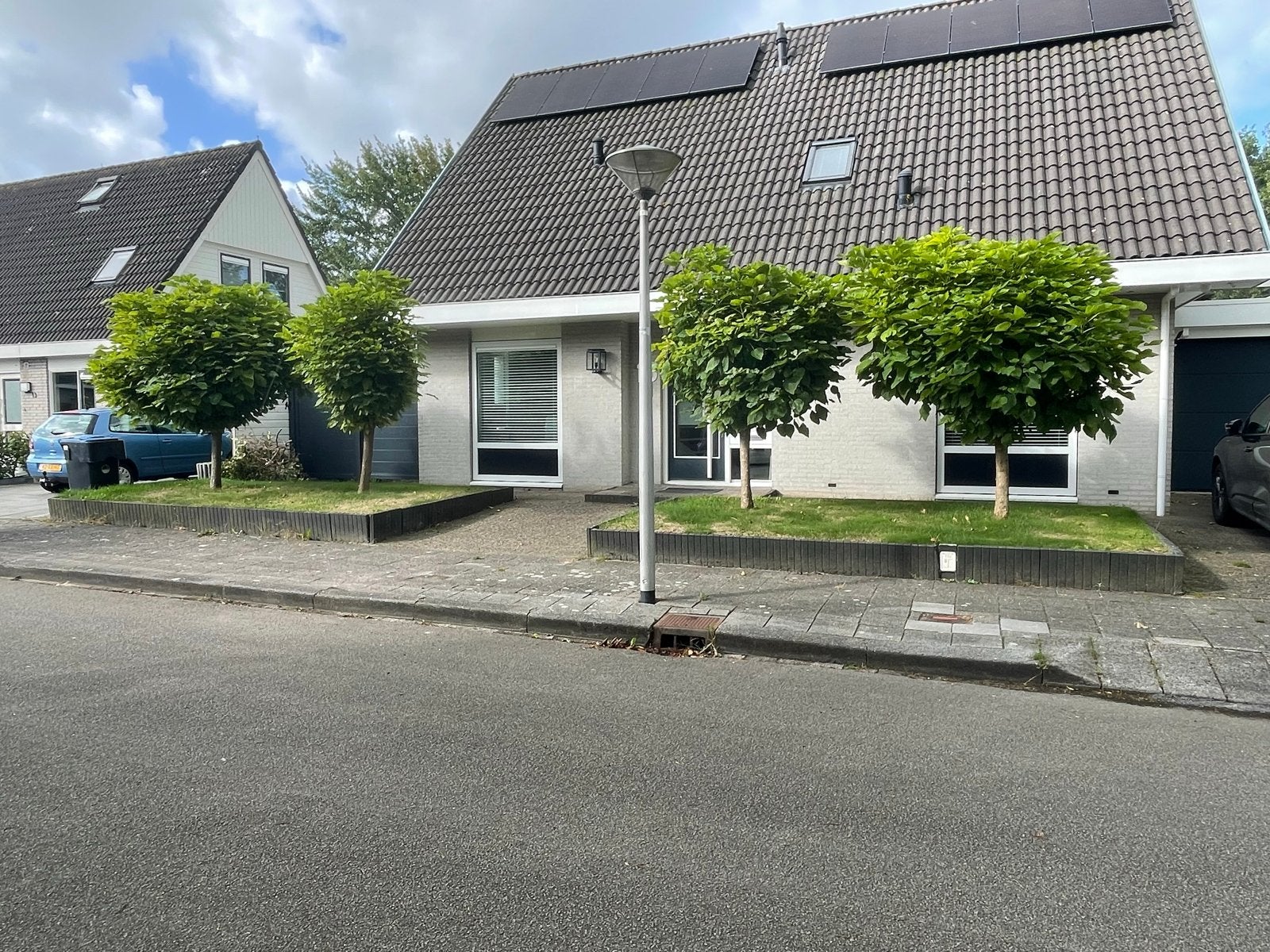 Gratis 8 bolcatalpa's zelf verwijderen, Tuin en Terras, 250 tot 400 cm, Zomer, Ophalen, Volle zon