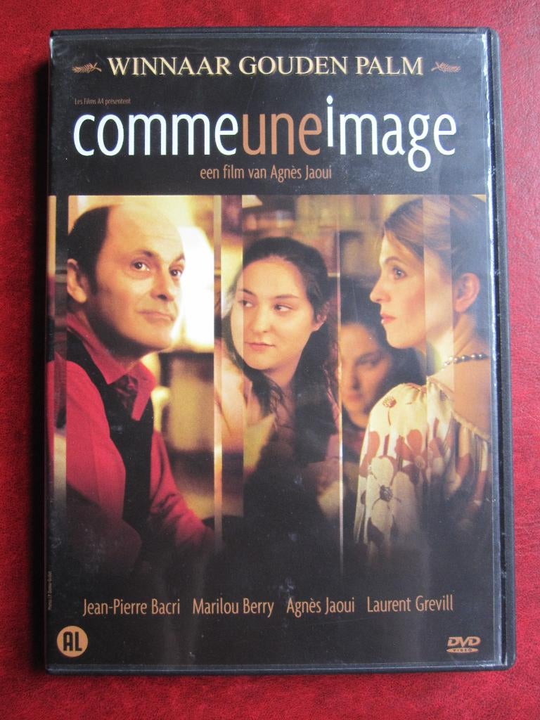 Comme une image (2004), Alle leeftijden, Ophalen of Verzenden, Zo goed als nieuw, Drama