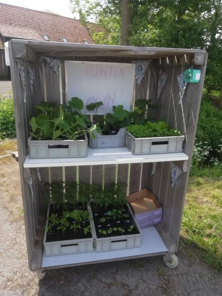 Tuin en Groente planten, Ophalen, Nieuw